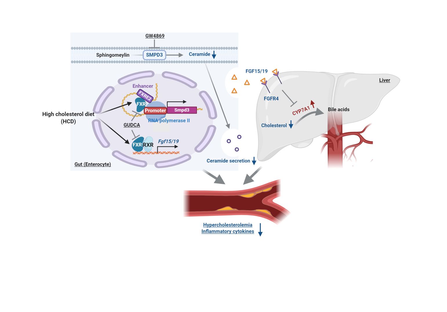 b0cf7dfeca664770909ae491da43afec.jpg b0cf7dfeca664770909ae491da43afec.jpg