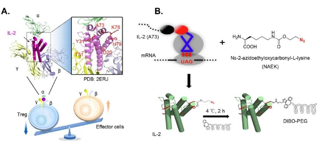 b8fdbe04d88c433898c20949b98cd672.jpg b8fdbe04d88c433898c20949b98cd672.jpg