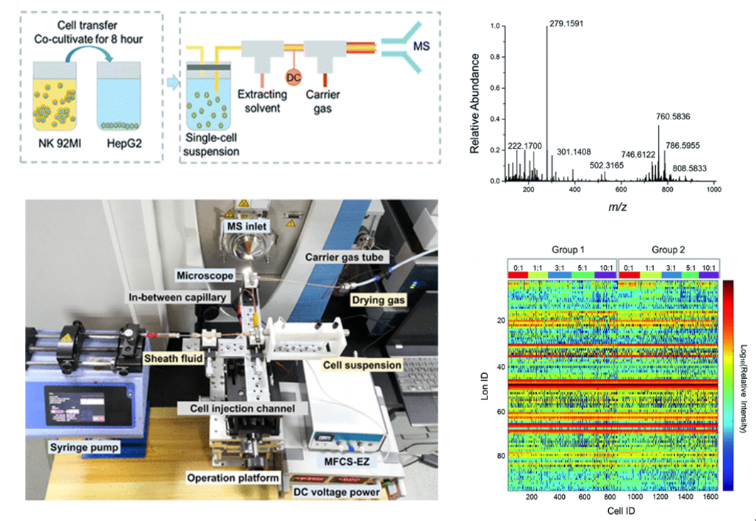 6fde34a92c7c4739a155767a415eefe9.png 6fde34a92c7c4739a155767a415eefe9.png