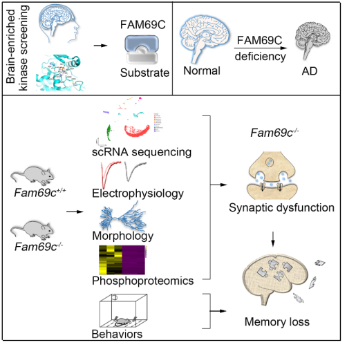 019c2d0f00ca4fac8540663a5a6f2aad.png image.png