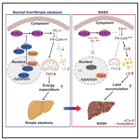 0f2007452b2a4ee69087c8e3743e4f64.jpg 0f2007452b2a4ee69087c8e3743e4f64.jpg