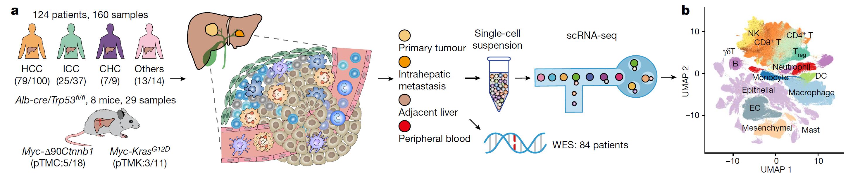 6911be5334bc4f4ba664d4a14d5d80c5.jpg 6911be5334bc4f4ba664d4a14d5d80c5.jpg