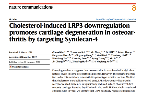 48efa0c5885548e1a4085faa632f273a.png 48efa0c5885548e1a4085faa632f273a.png