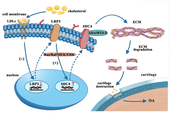 67bb0fa8f0664671bb07a730fe4a5243.png 67bb0fa8f0664671bb07a730fe4a5243.png