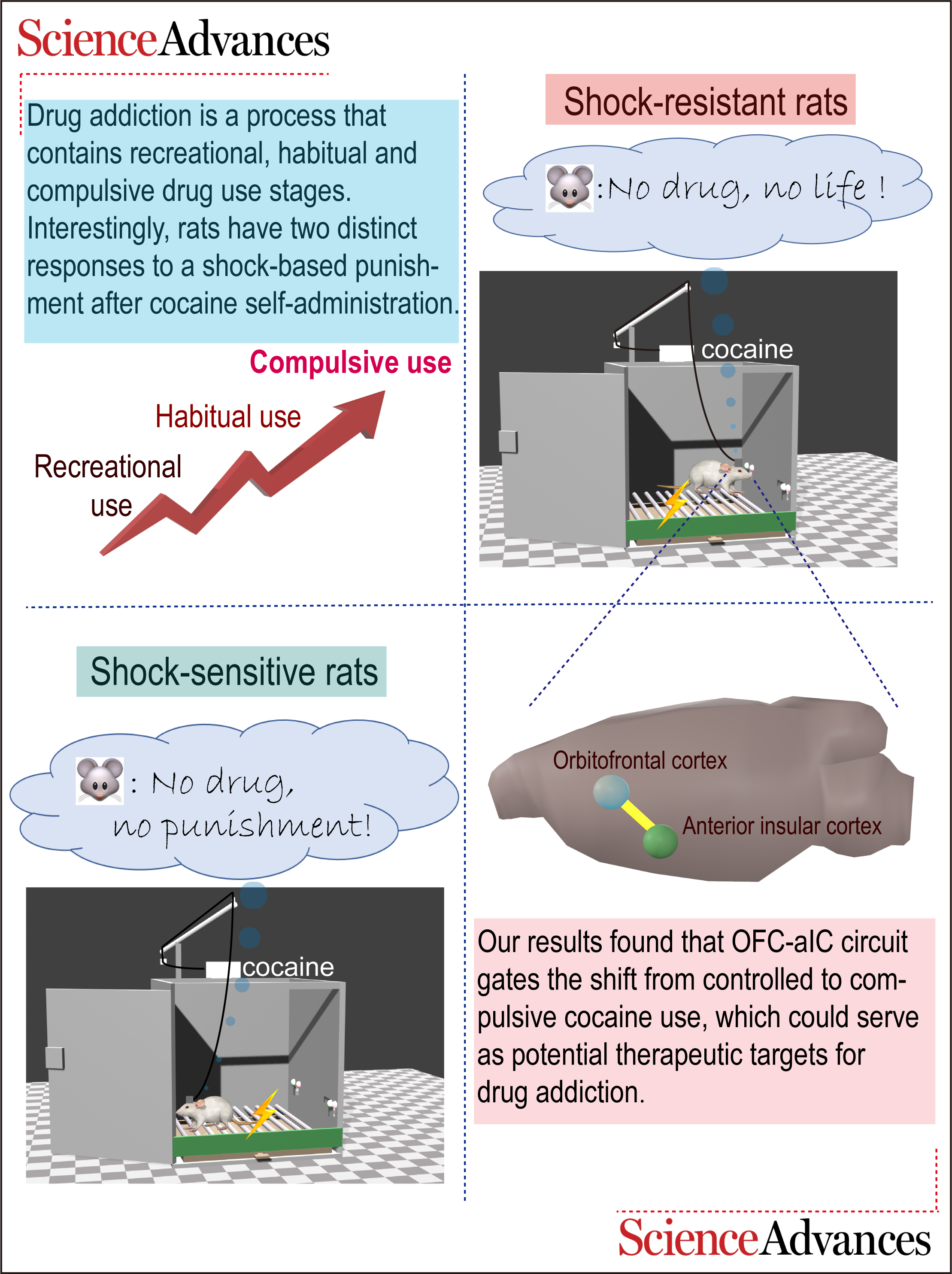 08cfed516eb8421e86c5a65e71747d06.png 08cfed516eb8421e86c5a65e71747d06.png