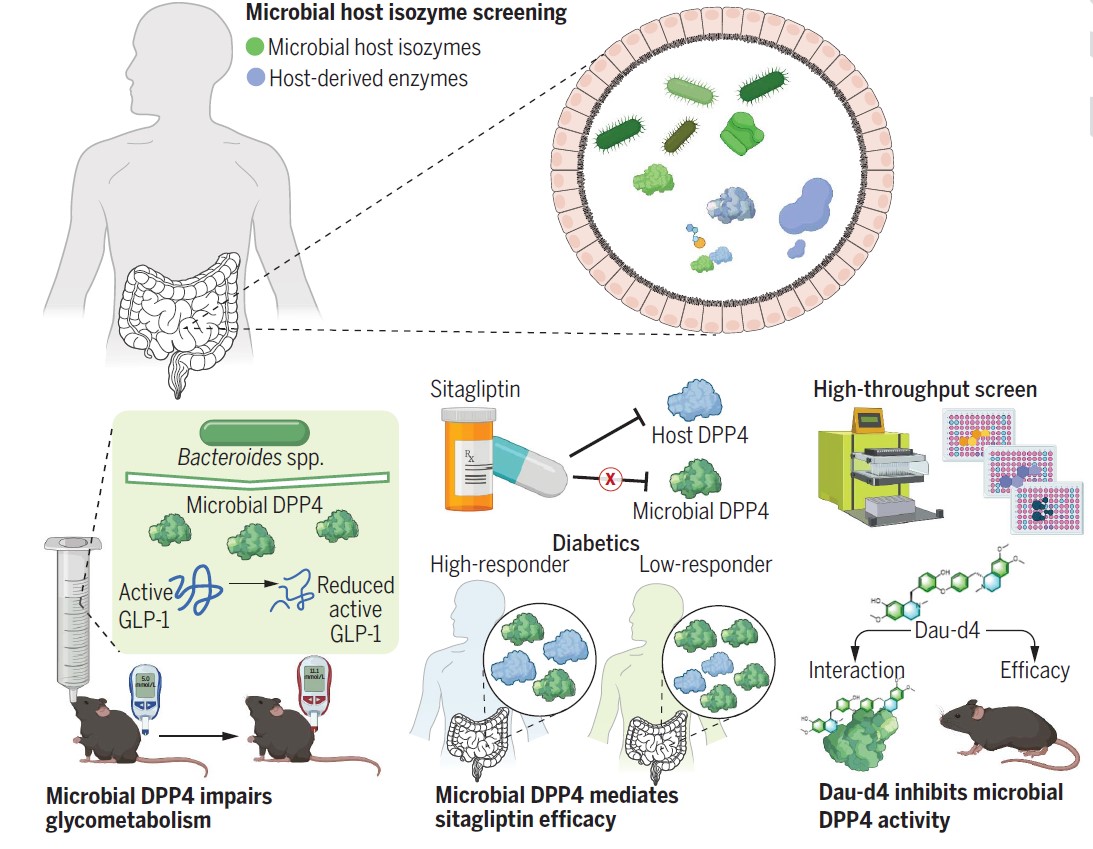 0321b9c914944bfe941a68edb3ca2927.jpg 0321b9c914944bfe941a68edb3ca2927.jpg