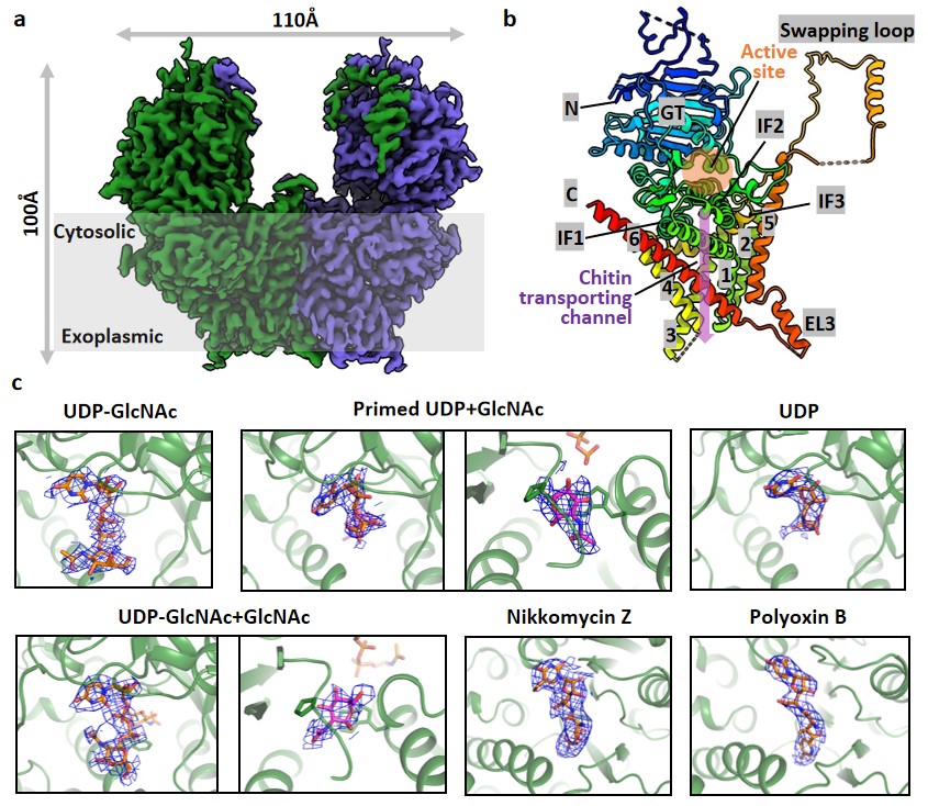 96b3369d976540cd87dd2648d3f65d37.jpg 96b3369d976540cd87dd2648d3f65d37.jpg