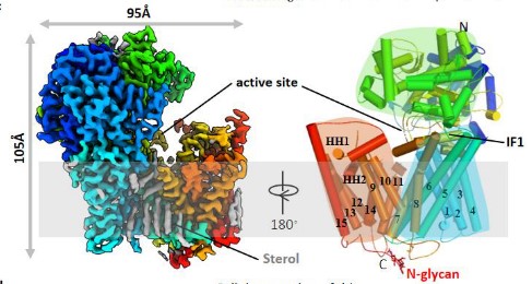 58b980ed35274d608c77713e69855e93.jpg 58b980ed35274d608c77713e69855e93.jpg