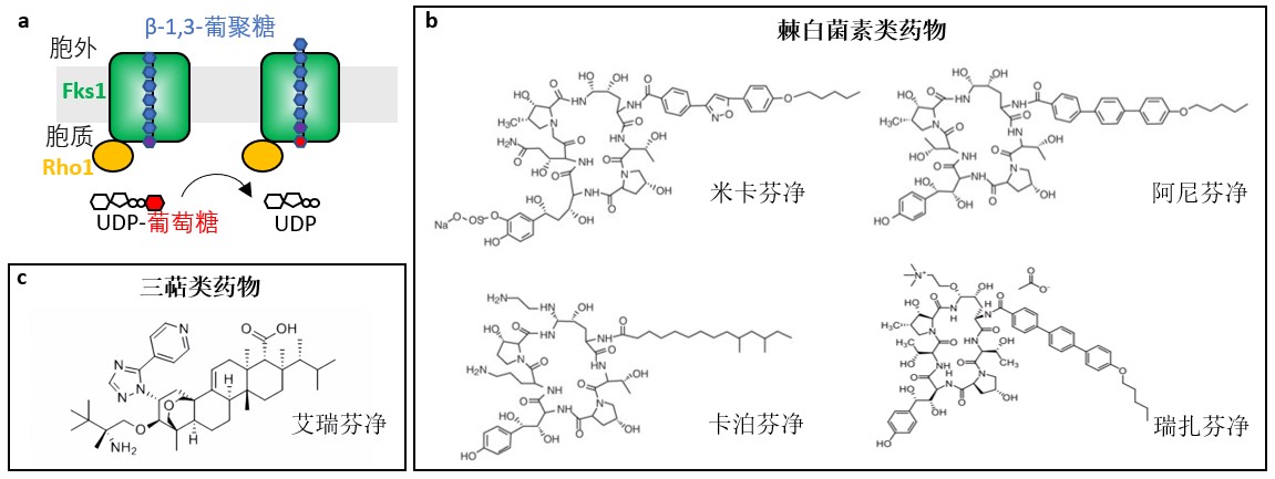 5b33e0f9454b4015bd952be17216b395.jpg 5b33e0f9454b4015bd952be17216b395.jpg