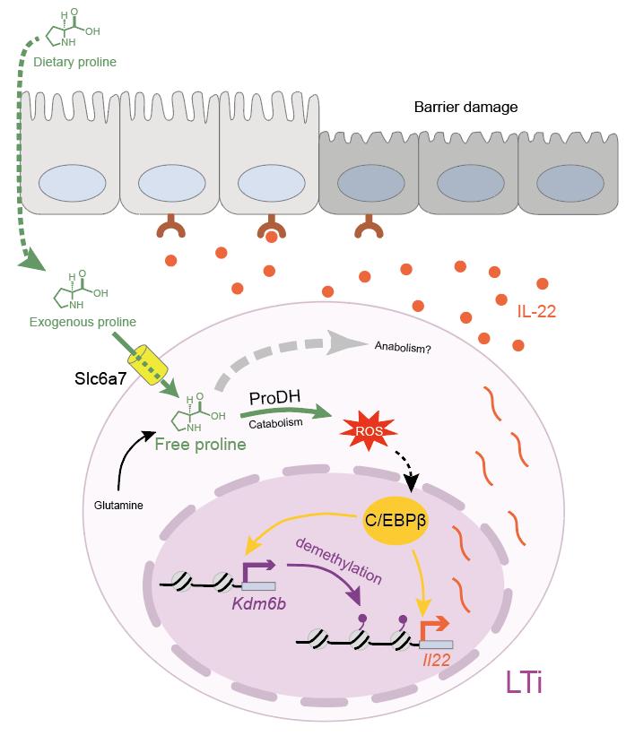 17726c7f2cb04864812cbddfeaa32b74.jpg 17726c7f2cb04864812cbddfeaa32b74.jpg