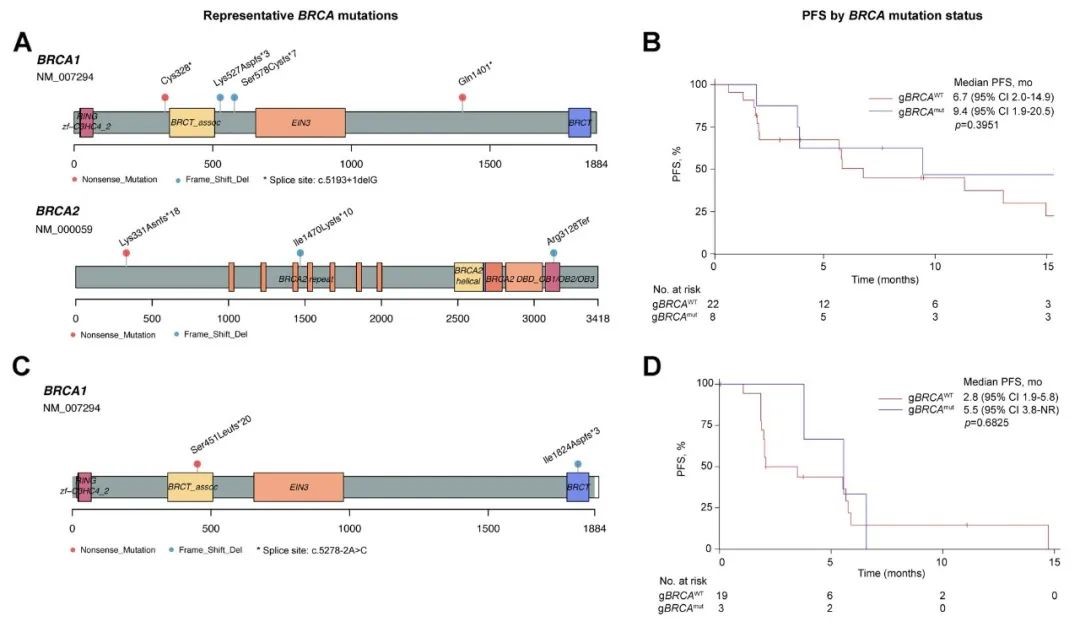 7843be4db69c4f35981134ec028187d1.jpg 7843be4db69c4f35981134ec028187d1.jpg