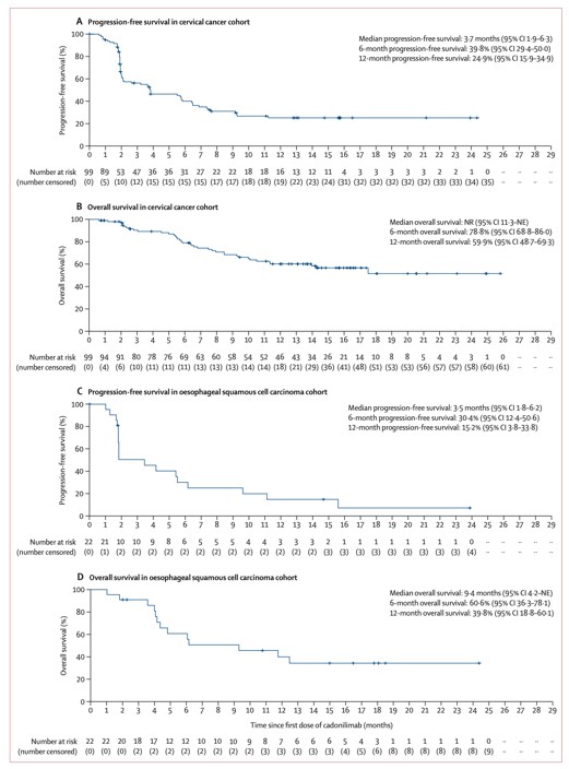 ec7d2a144041415ab1dc95609a4b2807.jpg ec7d2a144041415ab1dc95609a4b2807.jpg