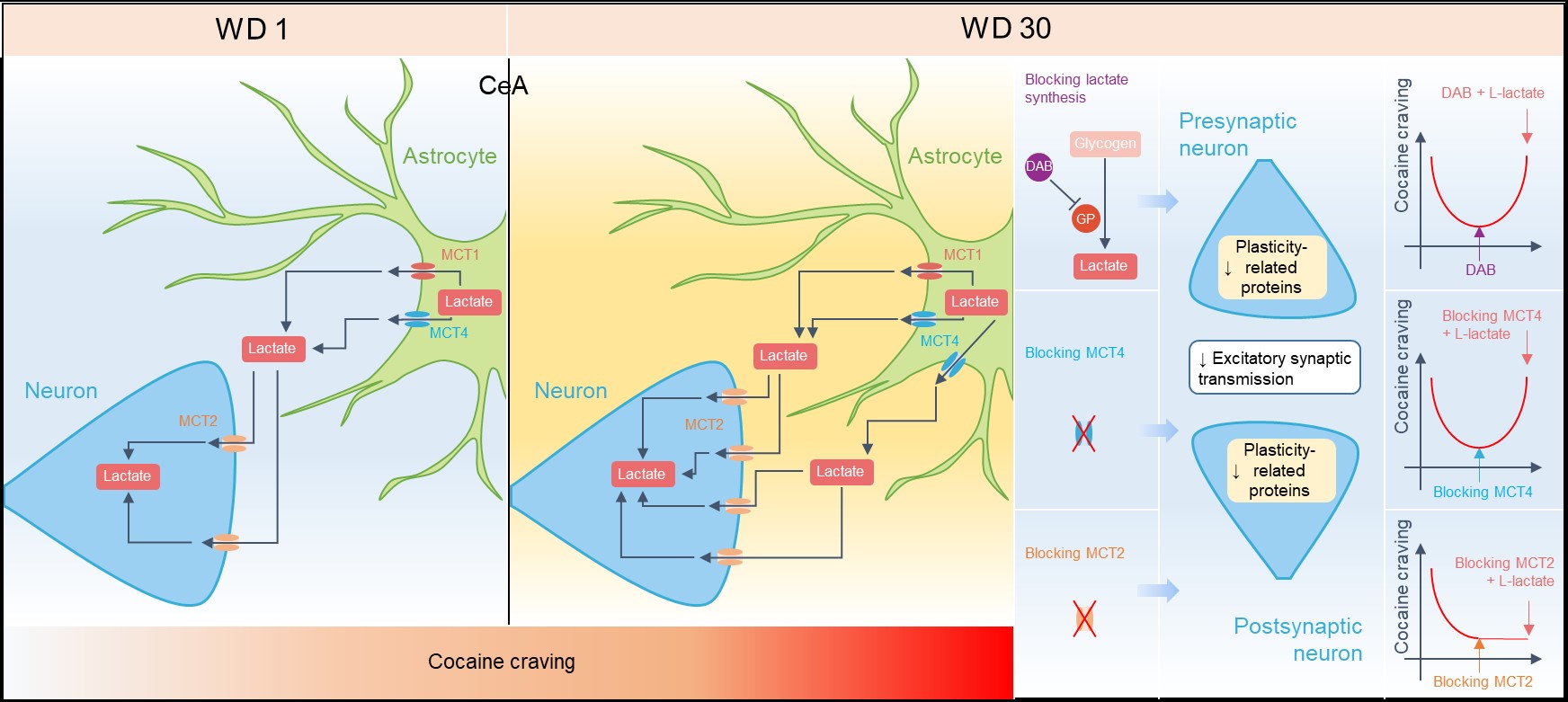 0610e07522a44367887086c15babcb8f.jpg 0610e07522a44367887086c15babcb8f.jpg