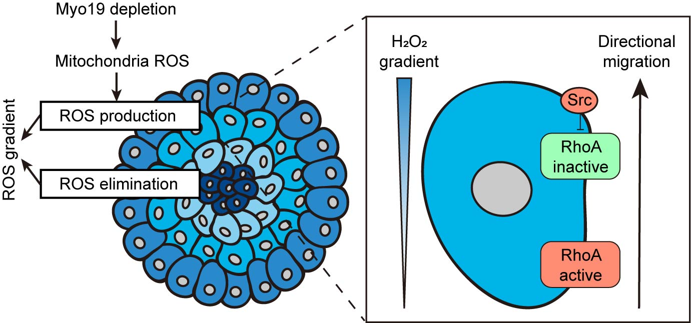 cb98a3ba5f57499b8e810adf71499f2c.png cb98a3ba5f57499b8e810adf71499f2c.png