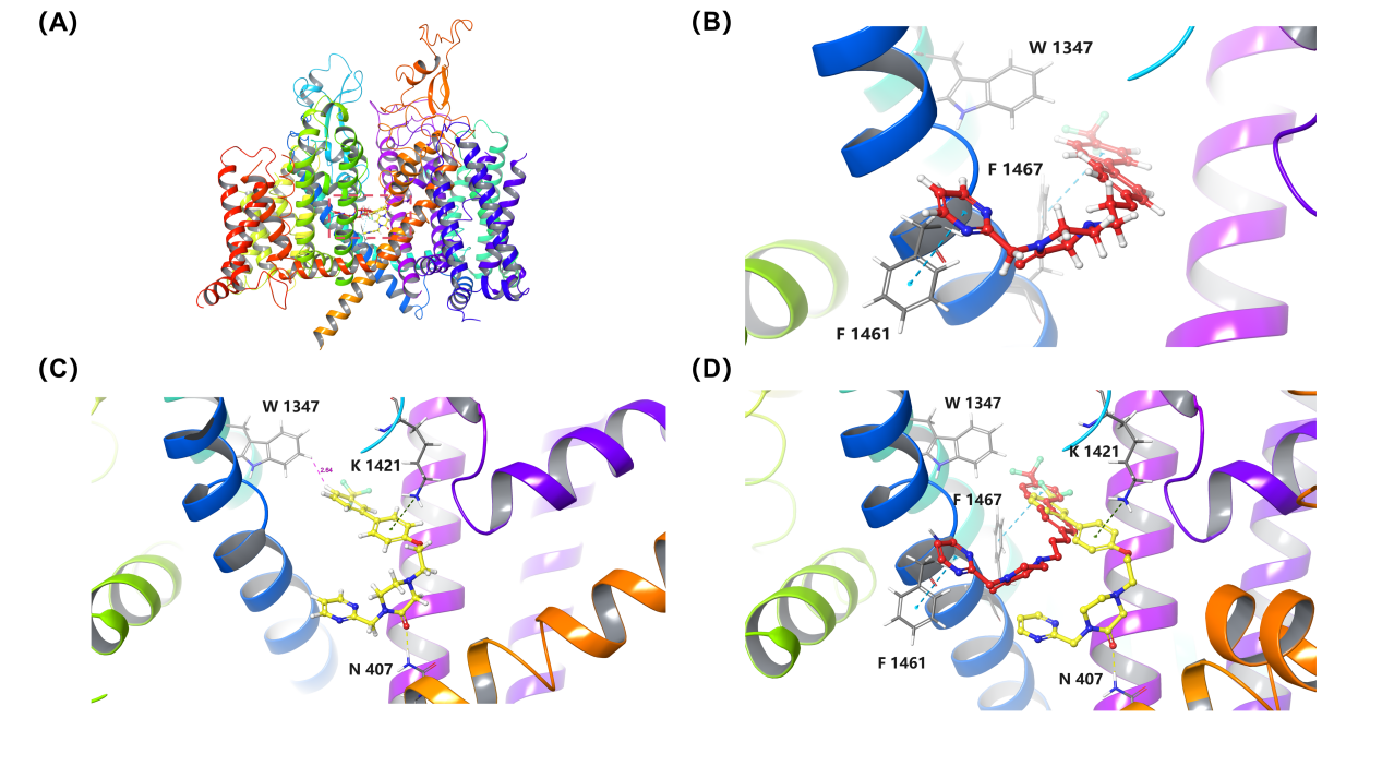 a21f1f3b3ae146a490e8ee31080f20ec.png a21f1f3b3ae146a490e8ee31080f20ec.png