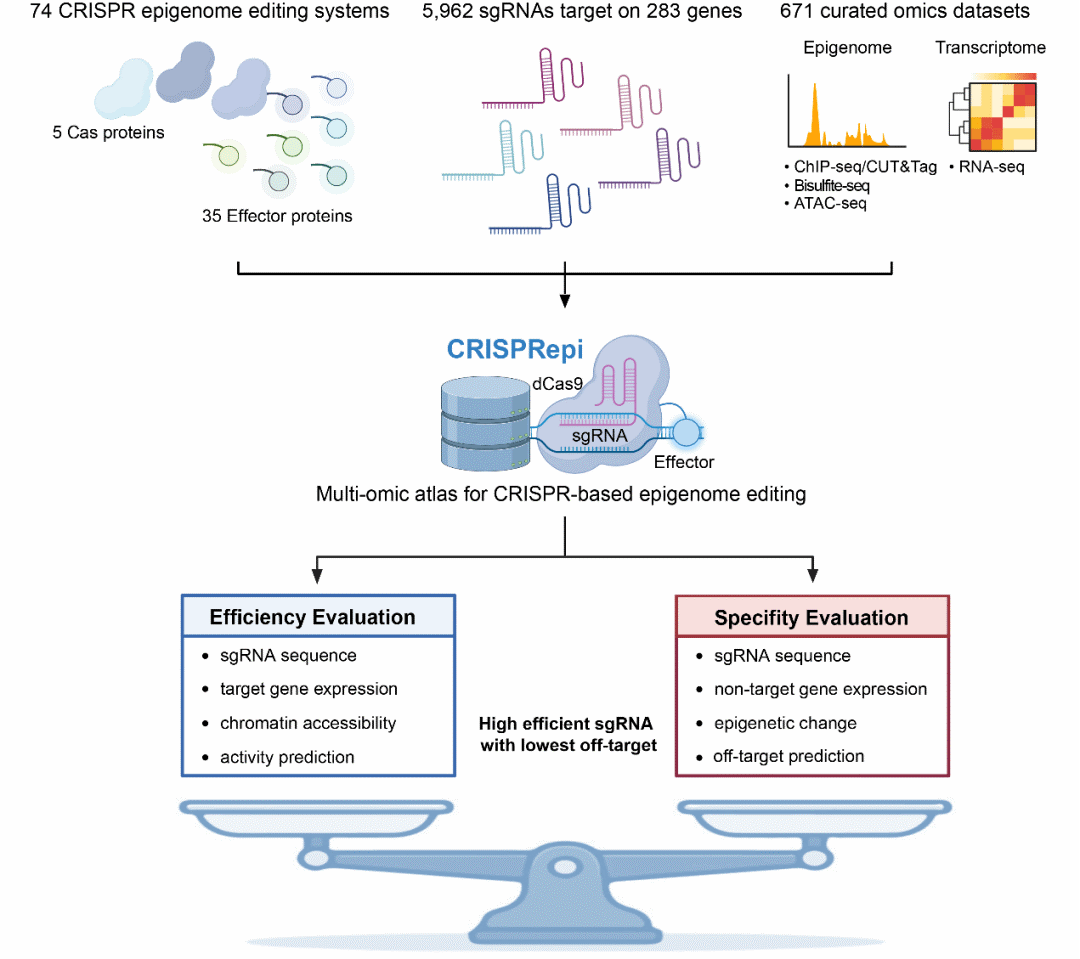 41bc7cd001164e44a21fc7bdbd95a835.png 41bc7cd001164e44a21fc7bdbd95a835.png