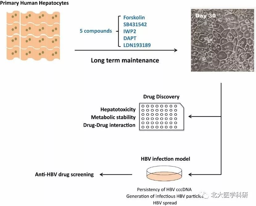 4f1e1efb9ac74dbaa890e78af0837aed.png 4f1e1efb9ac74dbaa890e78af0837aed.png