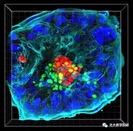 7f525b1e5eef47f7af155832db35b3bc.png 5.png