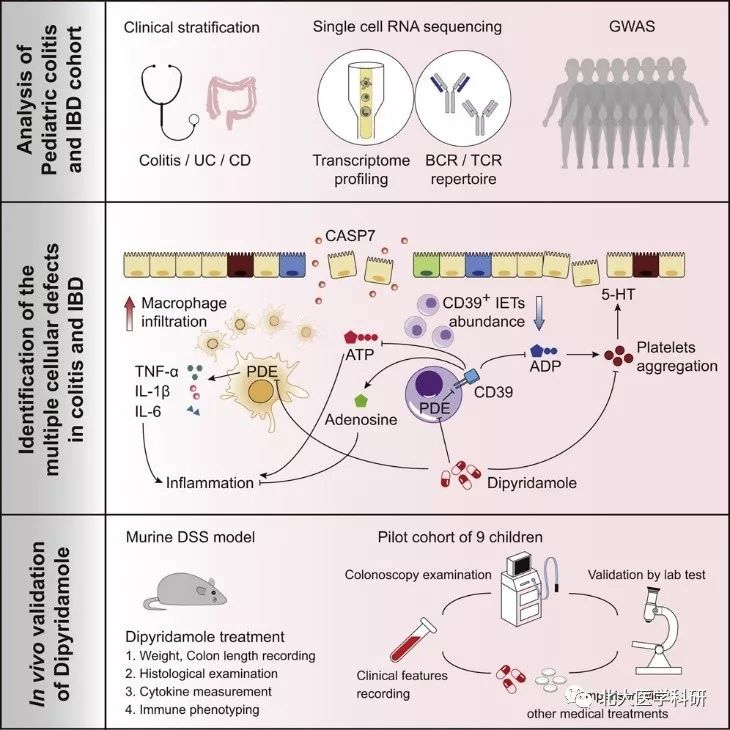 9b30a6ab0e9a443ba02494143b34f1de.png 9b30a6ab0e9a443ba02494143b34f1de.png