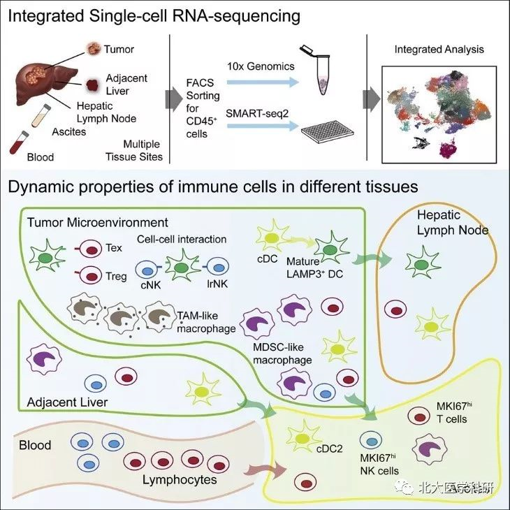 a4d1558cd33541a6a606e7bce50587c7.png a4d1558cd33541a6a606e7bce50587c7.png