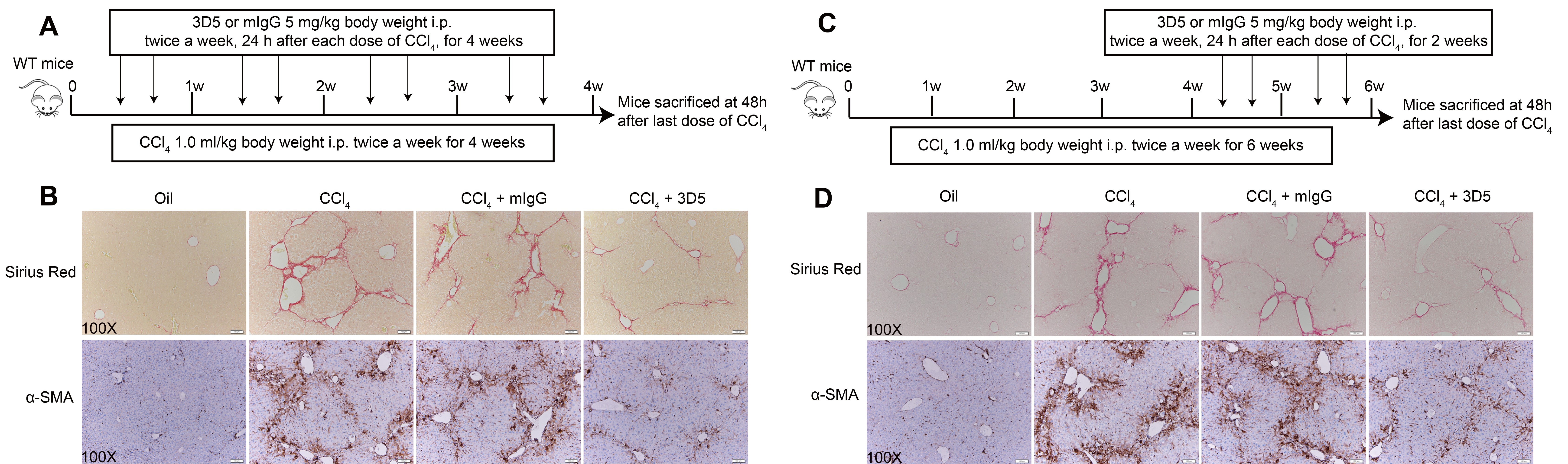 bf701d47605f47a6af53f8a2e6d0fa57.jpg 4.jpg