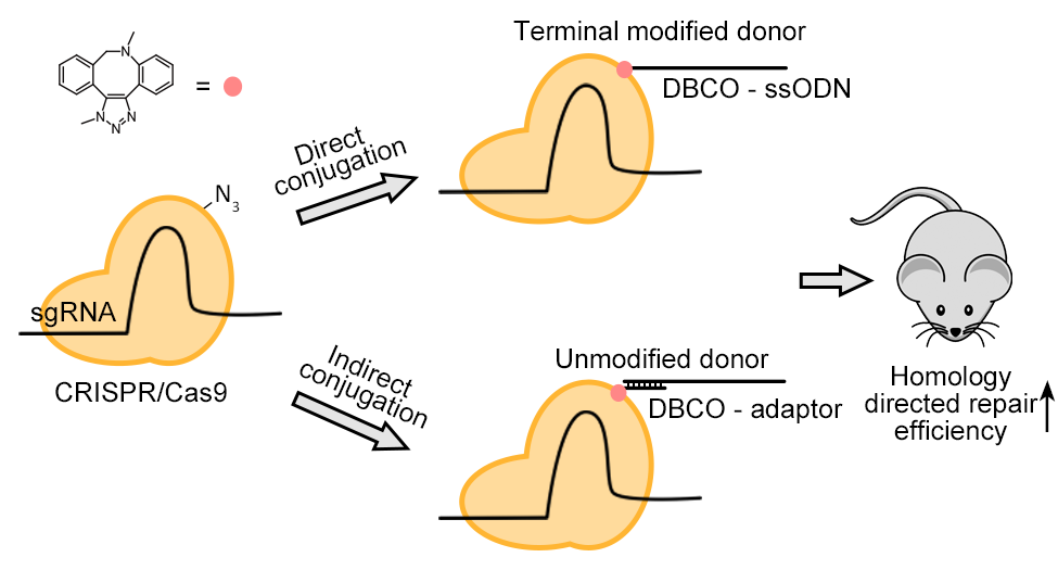 9e0449a175dd4d77b471a43bbc0335e4.png 1.png