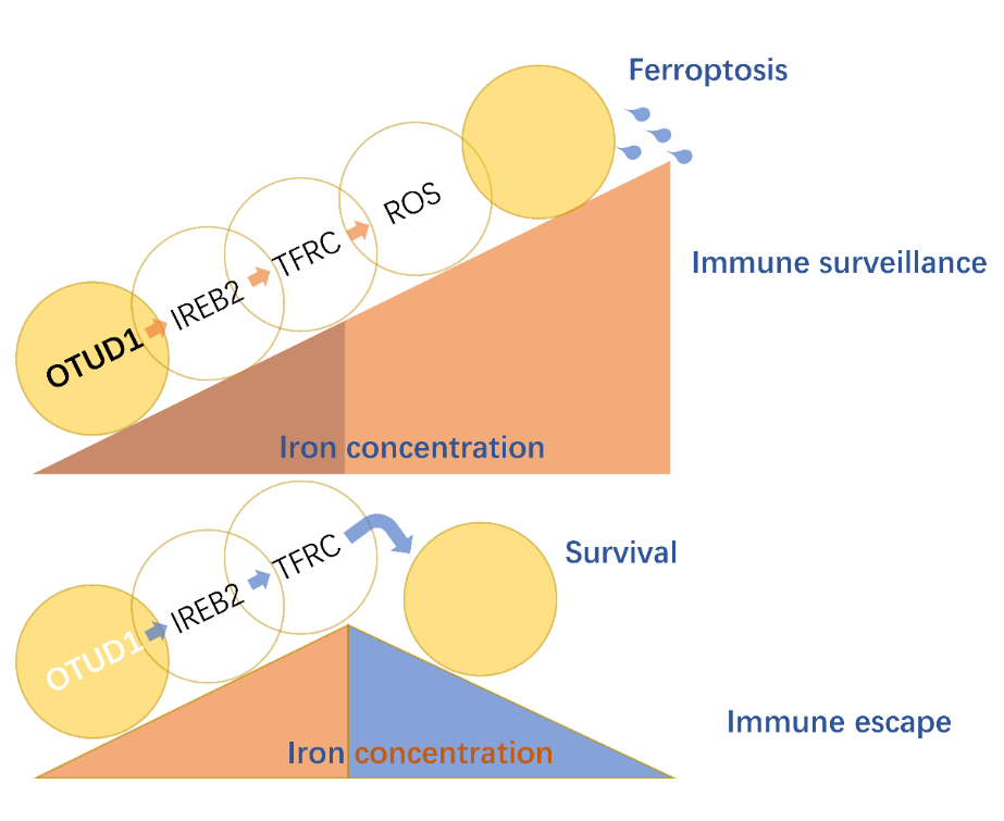 847ae0e4bf4f4440a05c63c9f270dc7b.png 847ae0e4bf4f4440a05c63c9f270dc7b.png
