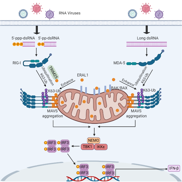 920d754258cf433aa7d3f0be9510c9a5.png 920d754258cf433aa7d3f0be9510c9a5.png