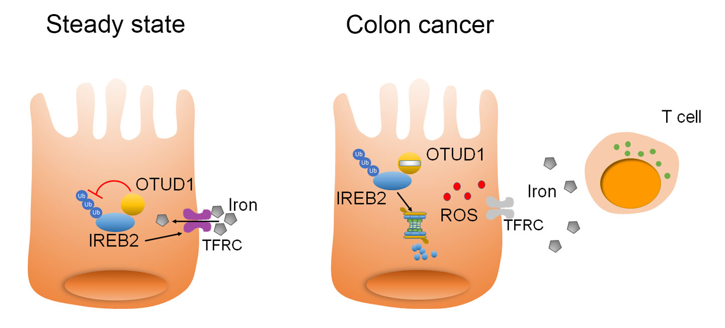 a3173e822eb24f1fb96ffcf6b32c9108.png a3173e822eb24f1fb96ffcf6b32c9108.png