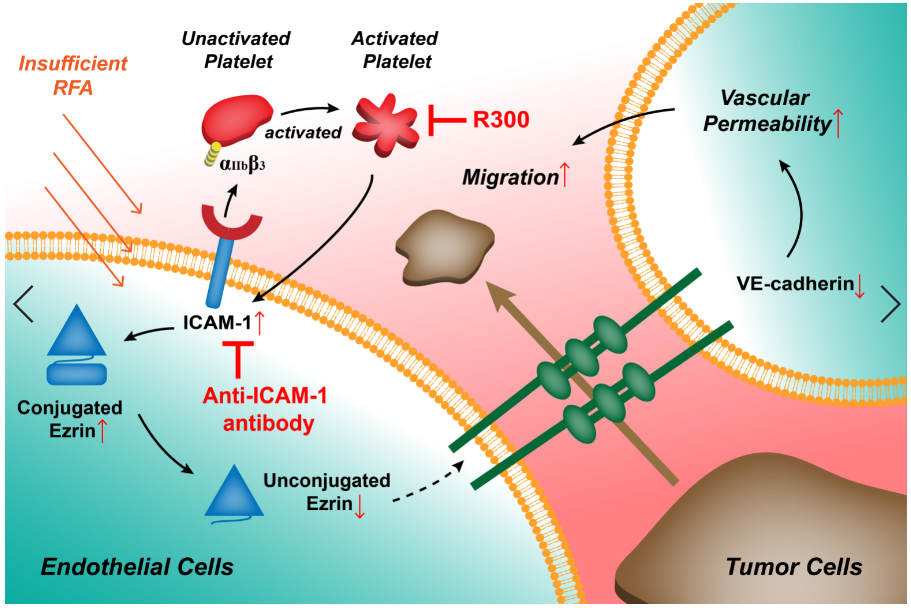 ec9f096a60b94278ac61e56d14ac9b12.png ec9f096a60b94278ac61e56d14ac9b12.png