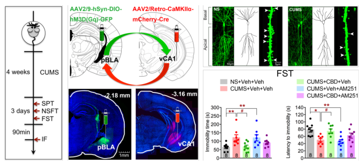bd30bb886a874a57a902c490c0440fb9.png bd30bb886a874a57a902c490c0440fb9.png