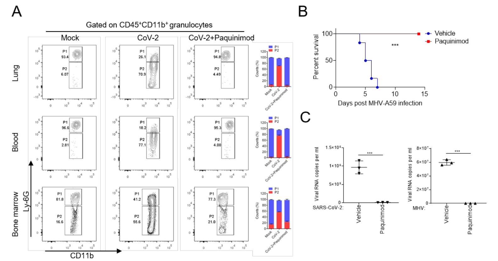 d6d7fe0fcfa64c70aacae75357c00041.png d6d7fe0fcfa64c70aacae75357c00041.png