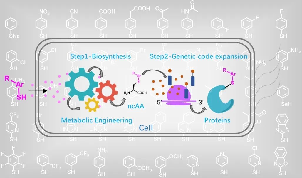eb9950f872c0489ba31555a85f969c52.jpg eb9950f872c0489ba31555a85f969c52.jpg