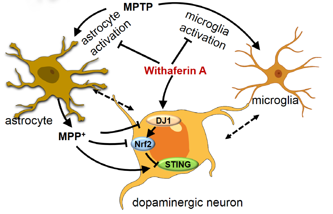 020836cf82cb4cf9a24bc85dbd8b932f.png 020836cf82cb4cf9a24bc85dbd8b932f.png