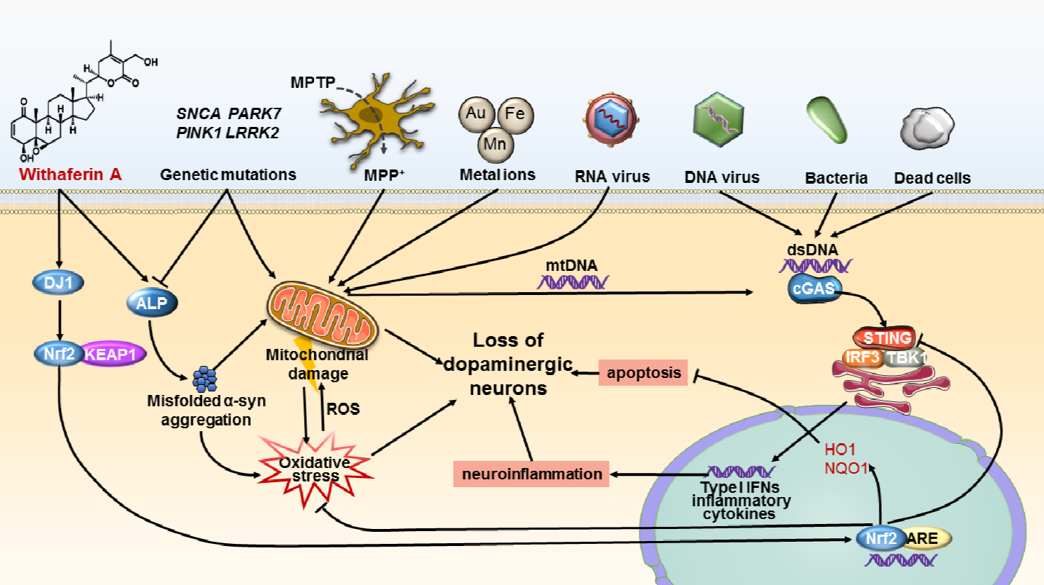 66bef7c881324b289e7c556f310f8a9c.png 66bef7c881324b289e7c556f310f8a9c.png