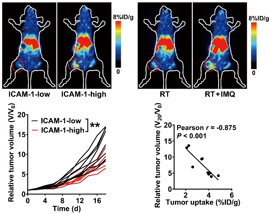 659dfdbd6eba4b229a4f396bf698df12.jpg 659dfdbd6eba4b229a4f396bf698df12.jpg