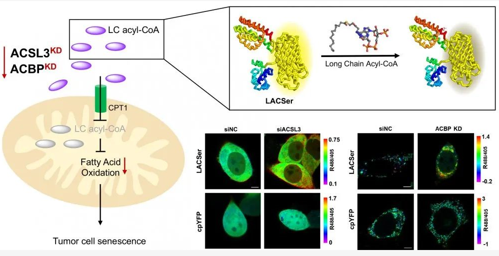 c82f47cfd28a4398a05d2a4f30ecba18.png c82f47cfd28a4398a05d2a4f30ecba18.png