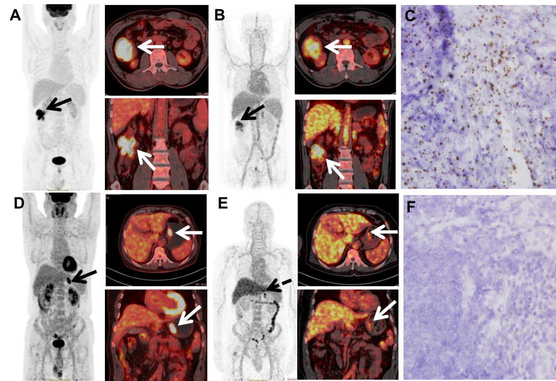 9d1c5e0aca354507aa83a1563f2a4c6b.png 9d1c5e0aca354507aa83a1563f2a4c6b.png