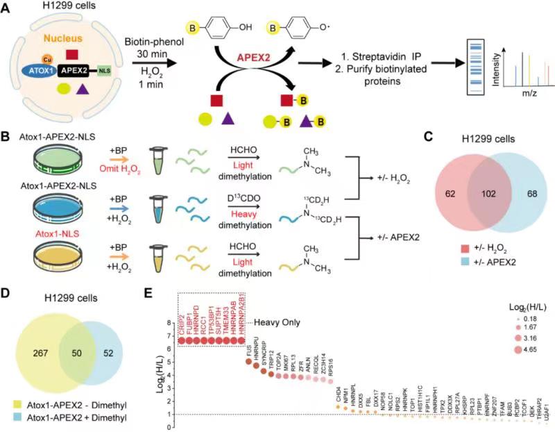 1d9b348e95d84aadb1c297b324cf47de.jpg 微信图片_20210926132248.jpg