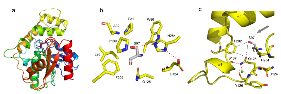 414a99e19cfc4a88bd1c2c29de9edd3d.png 414a99e19cfc4a88bd1c2c29de9edd3d.png