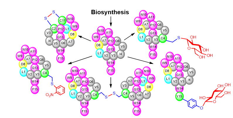 63a7cdba2018495e8e6a28d4a768771c.png 63a7cdba2018495e8e6a28d4a768771c.png