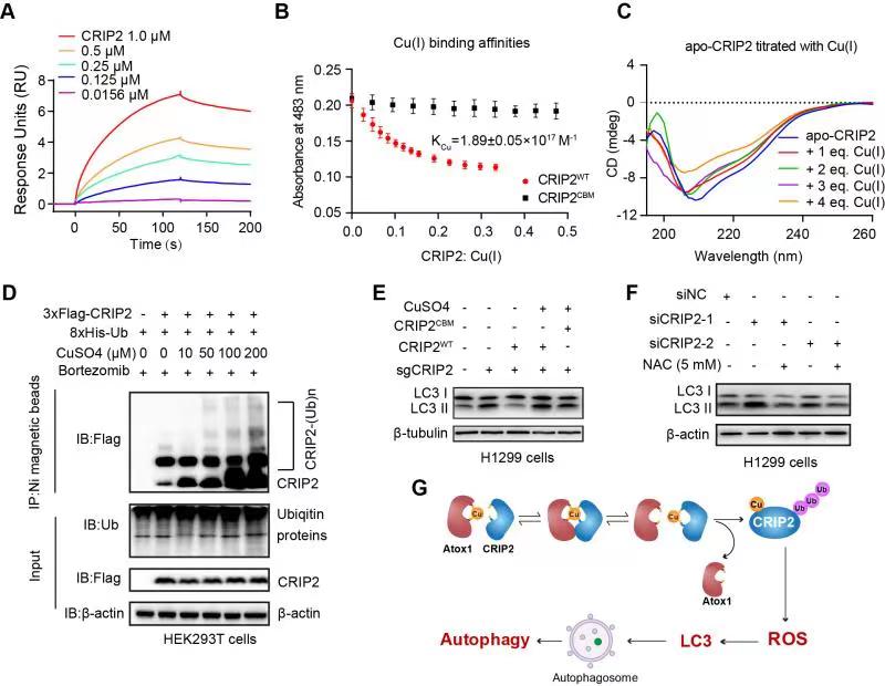 730a9992f1204fe18d266b958e2ef0ec.jpg 微信图片_20210926132258.jpg