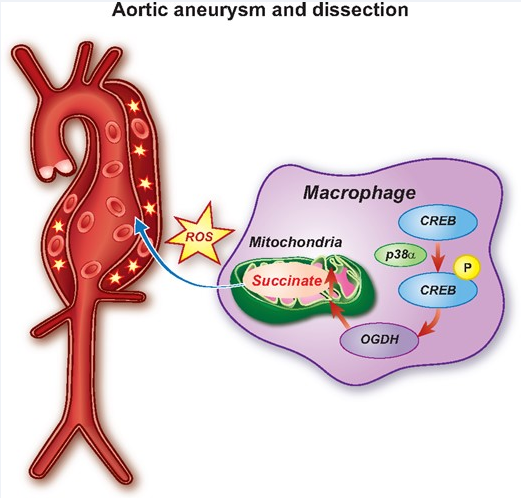 7482441deae64ec684f1daf79dd6d598.png 0920.png