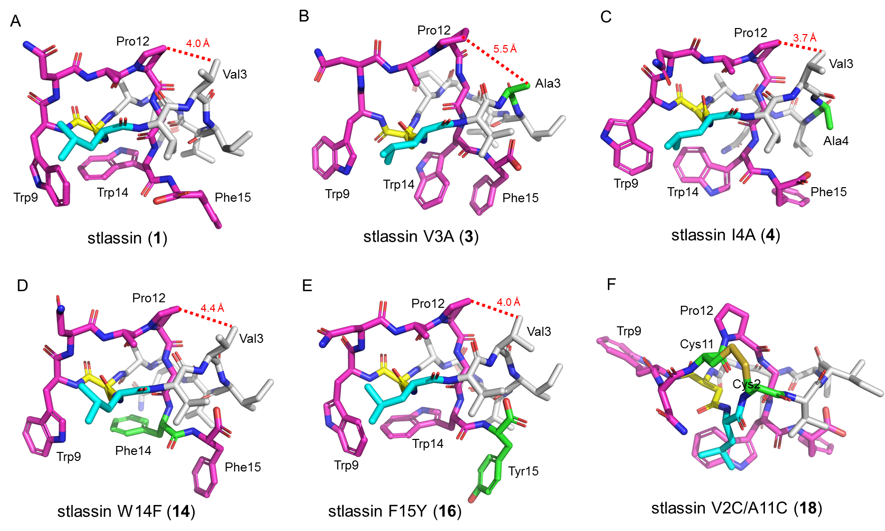 7625f87403114e2dae18a77165d35fa2.png 7625f87403114e2dae18a77165d35fa2.png