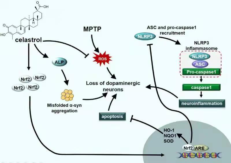774a27bdbc5e401582c503450aab4182.jpg 微信图片_20210926132308.jpg