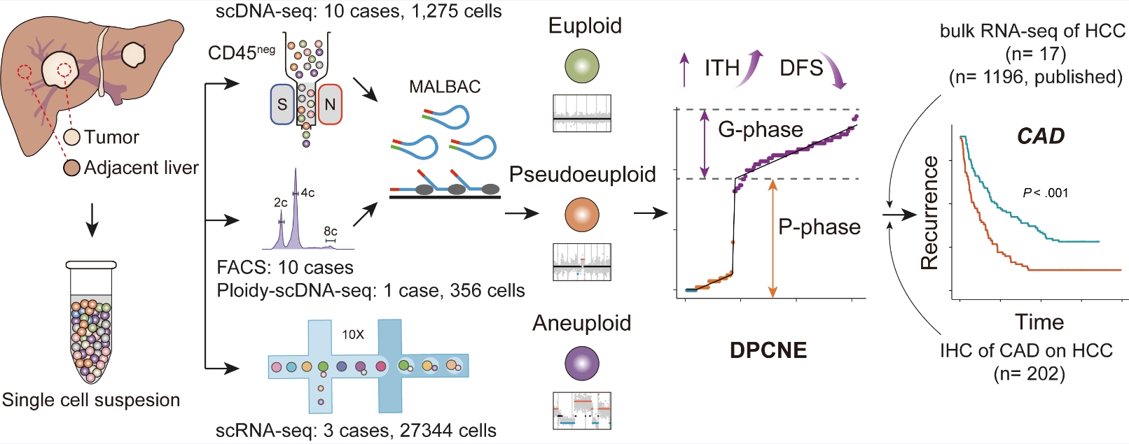 8990249044524468b84ed973b540c8b4.png 8990249044524468b84ed973b540c8b4.png