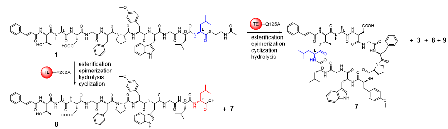99bcd51ad4594845adb9924b5183e108.png 99bcd51ad4594845adb9924b5183e108.png