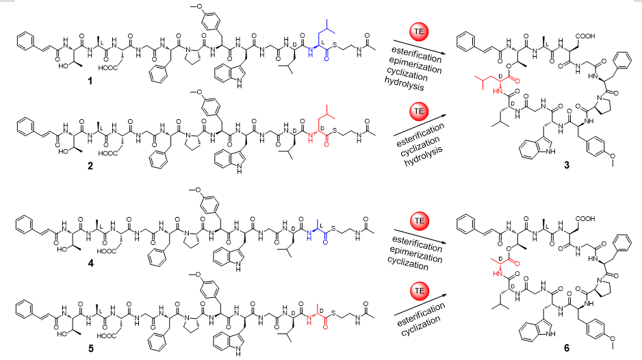 cac06c818b824bfbaafb4f368115b92b.png cac06c818b824bfbaafb4f368115b92b.png