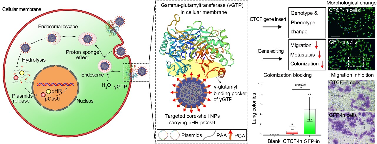 2aac58c6c16247918149452eac7840e8.jpg 2aac58c6c16247918149452eac7840e8.jpg