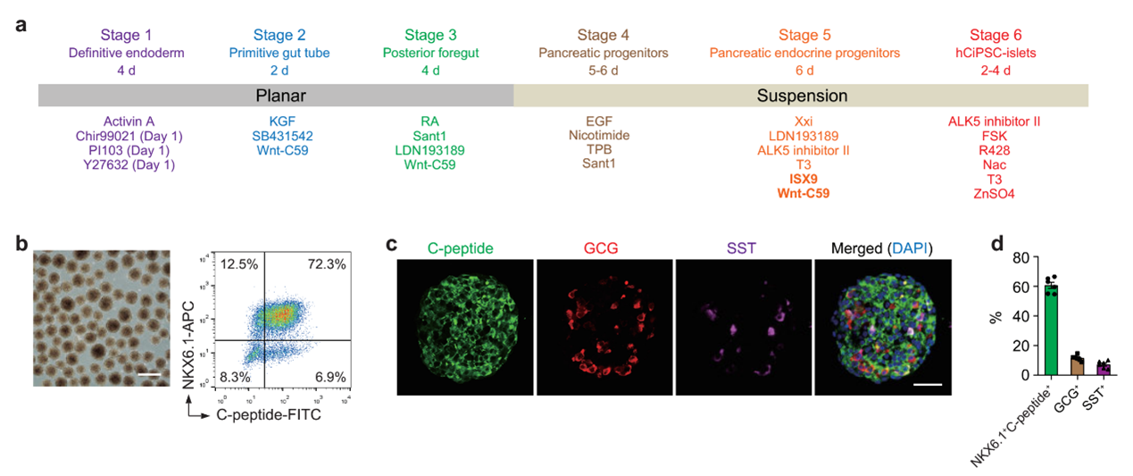 693610c3434b48919bb455a84892299d.png 693610c3434b48919bb455a84892299d.png